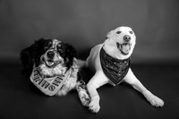 Tyconi&Huckleberry-113