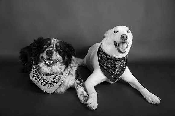 Tyconi&Huckleberry-113
