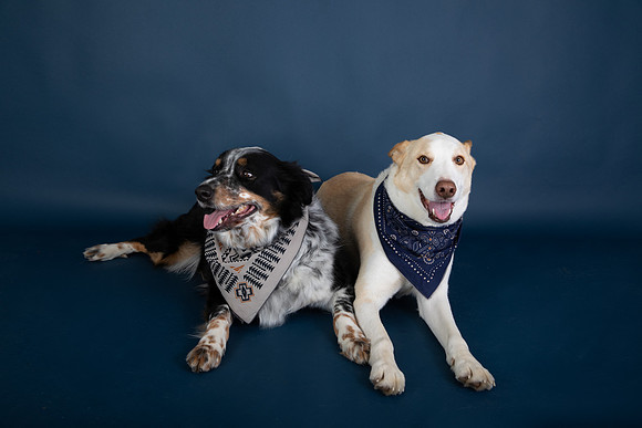 Tyconi&Huckleberry-119