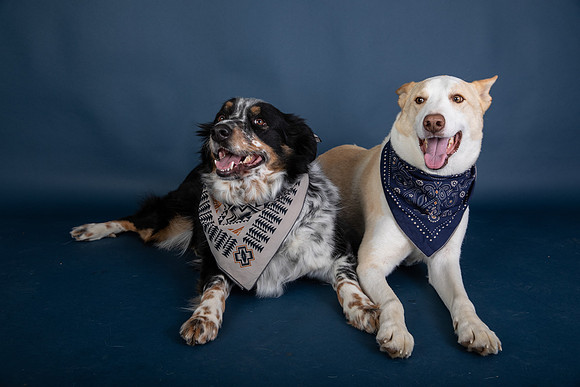 Tyconi&Huckleberry-117
