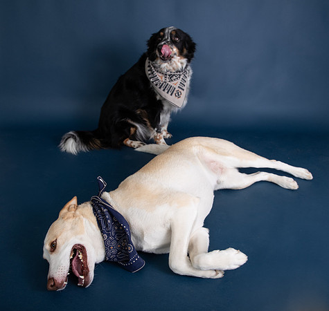 Tyconi&Huckleberry-127