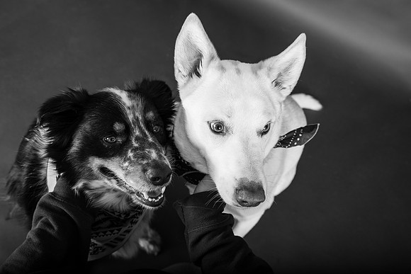 Tyconi&Huckleberry-177