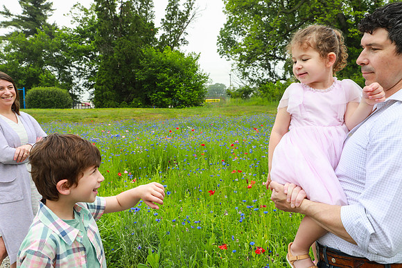 Wathenflowerfield-132