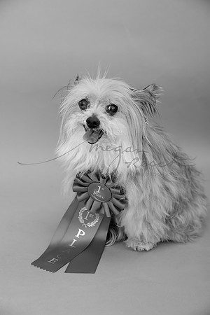 Bella-104