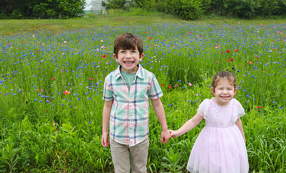 Wathenflowerfield-104