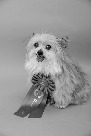 Bella-104