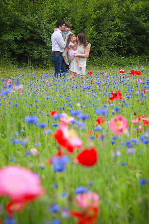 Wathenflowerfield-137