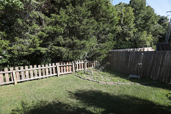 WillowOak-118