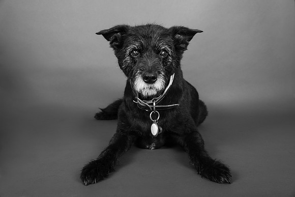 Darla-103