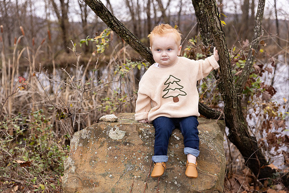 Hayes2024-345