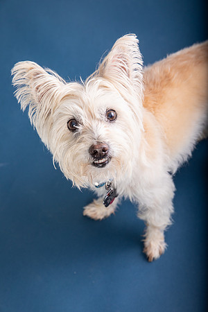 CooperandFriends104