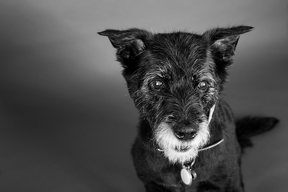Darla-112