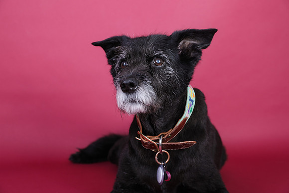 Darla-105