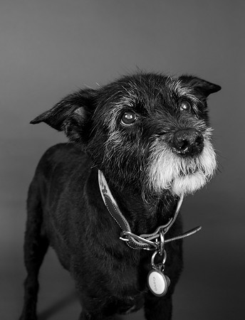 Darla-107