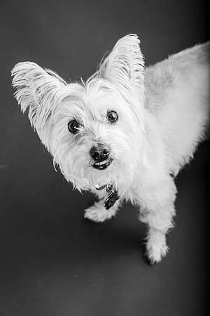 CooperandFriends105