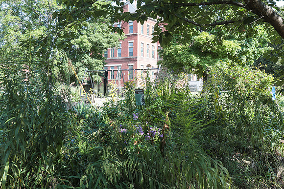 BrookSt-139